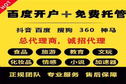 某知名品牌网络推广竞价全解析
